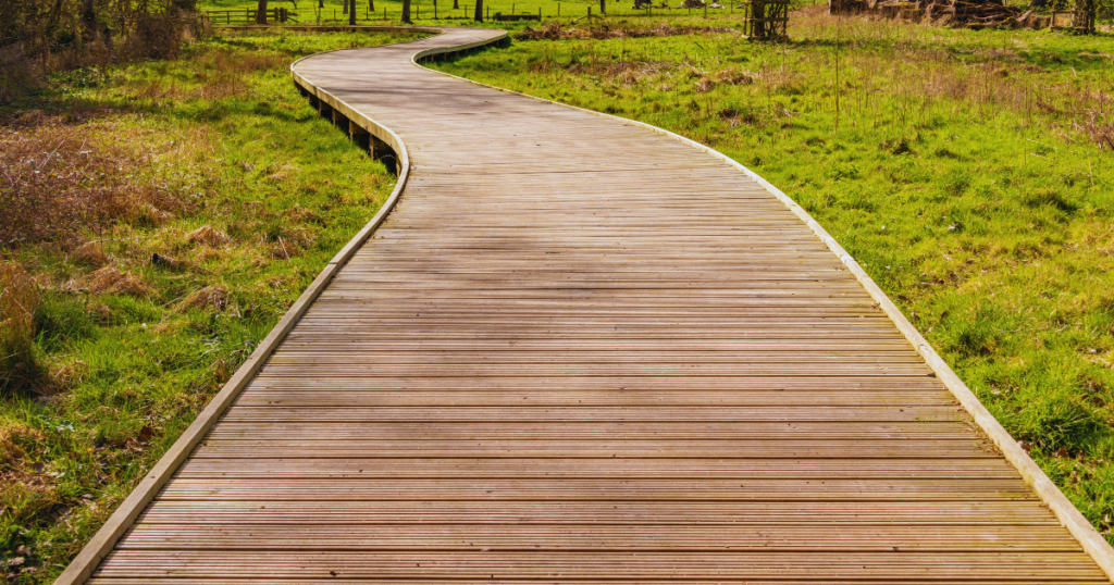 A marsh boardwalk elevated over marshlands