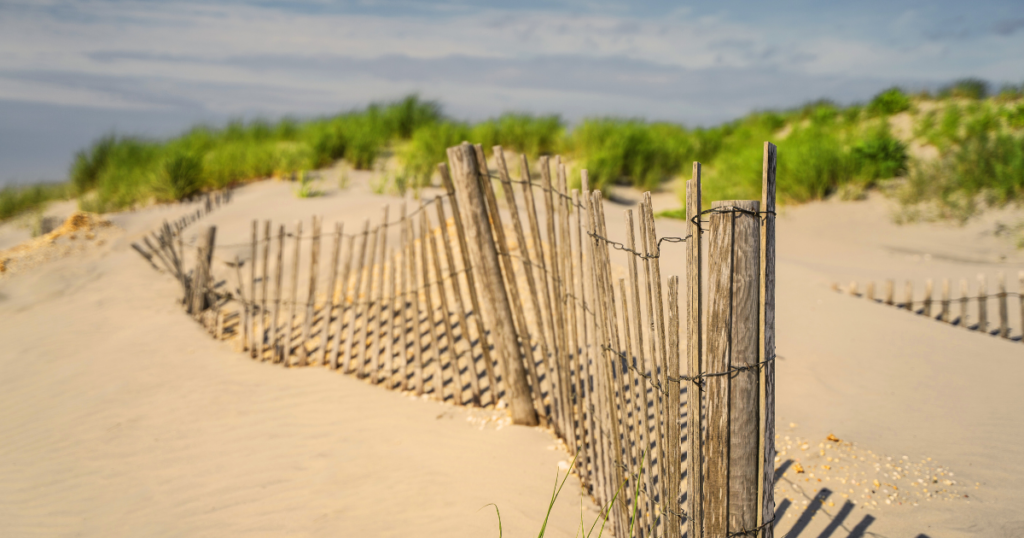 Sand dunes and beach grass in front of the ocean